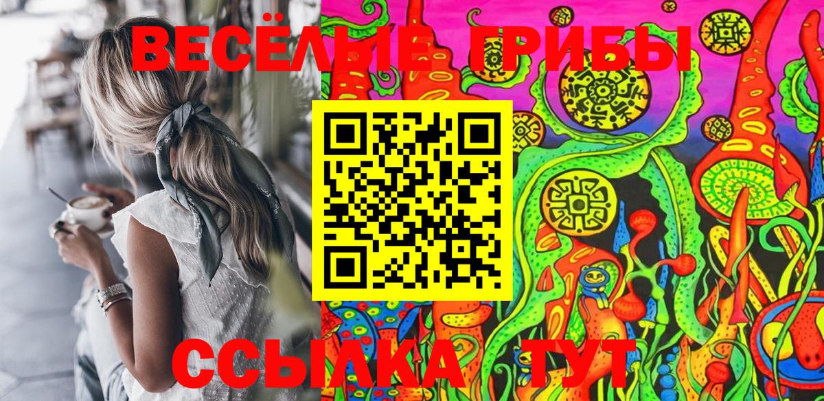 Псилоцибиновые грибы Cubensis Великие Луки